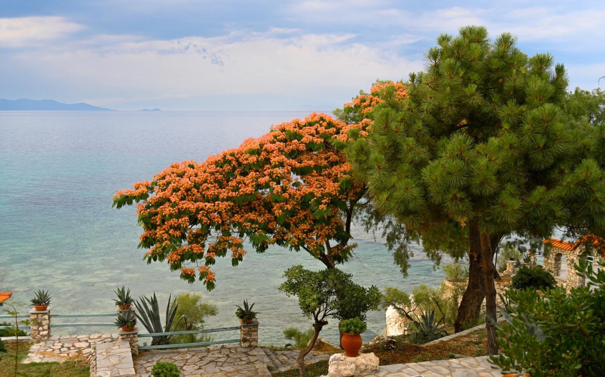 Kiparissi Villa Halkidiki Ierissós Exterior foto